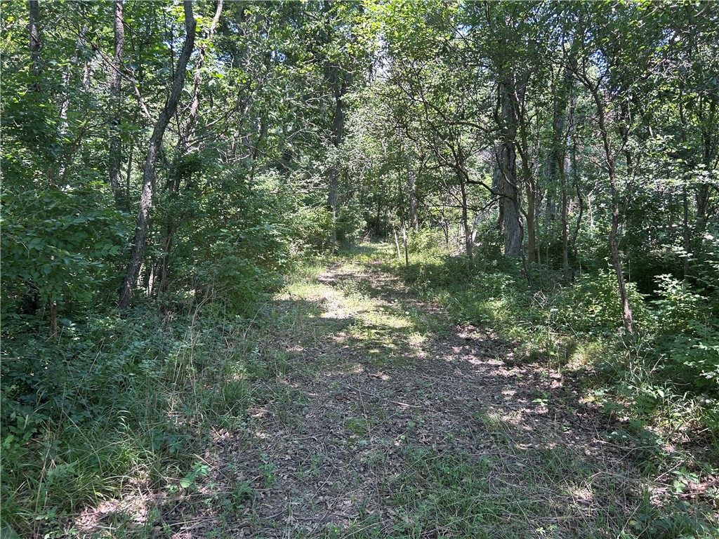 1249 E 600 North Road Property Photo 35
