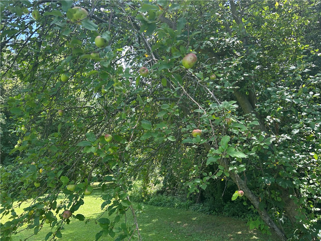 1249 E 600 North Road Property Photo 40