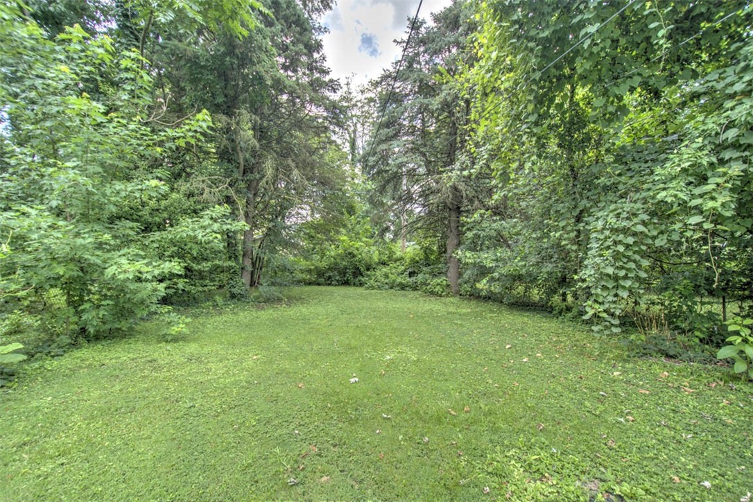 1371 E Division Street Property Photo 21