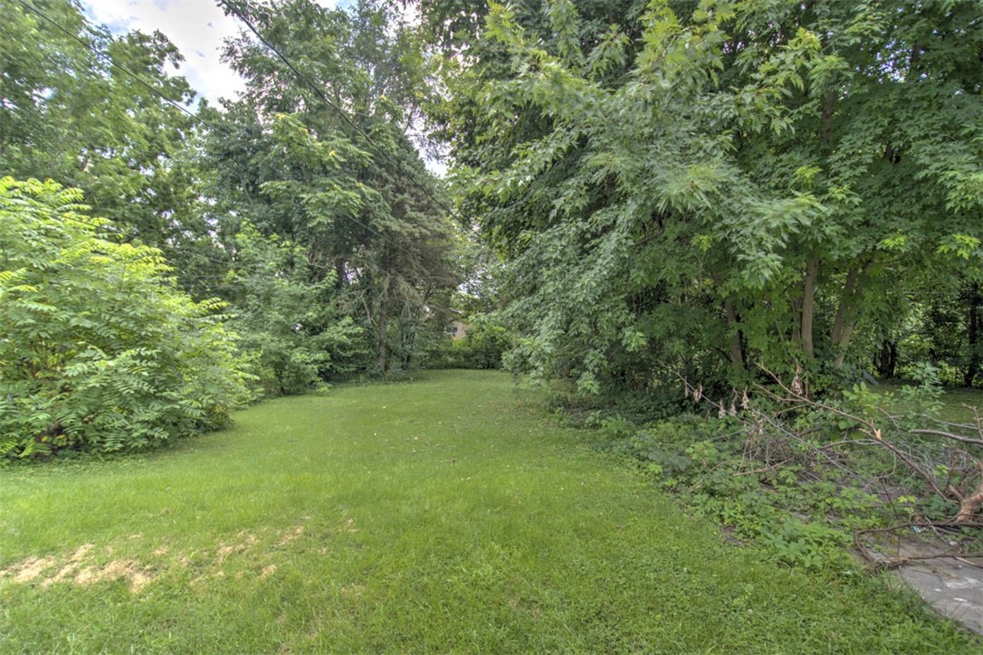 1371 E Division Street Property Photo 22