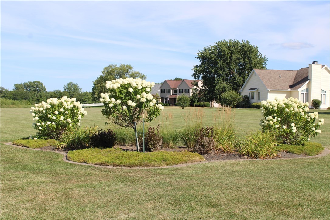 Lots 8 & 9 Augusta Lakes Property Photo 5
