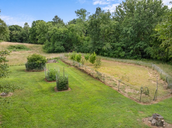 19455 N Cline Orchard Road Property Photo 11
