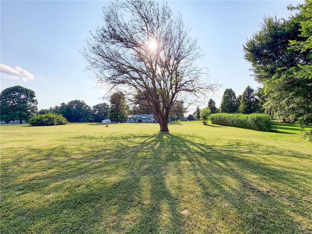 16669 Donna Drive Property Photo 22