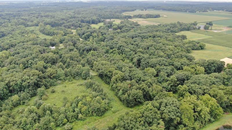 1883 County Road 800n Road Property Photo 9
