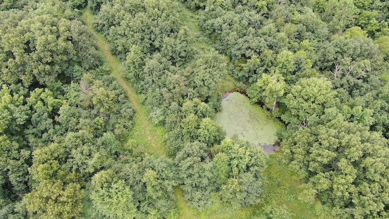 1883 County Road 800n Road Property Photo 11
