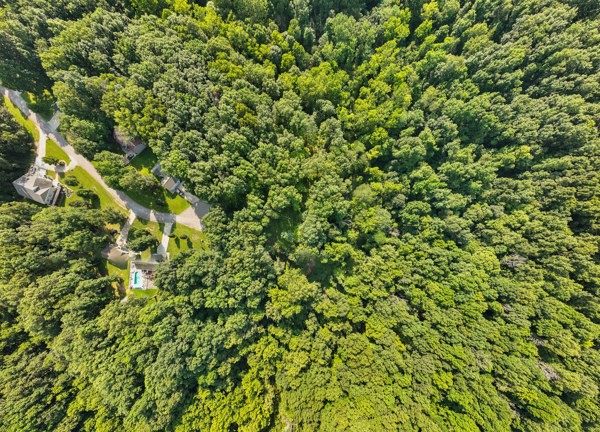 Robin Lane Property Photo 14