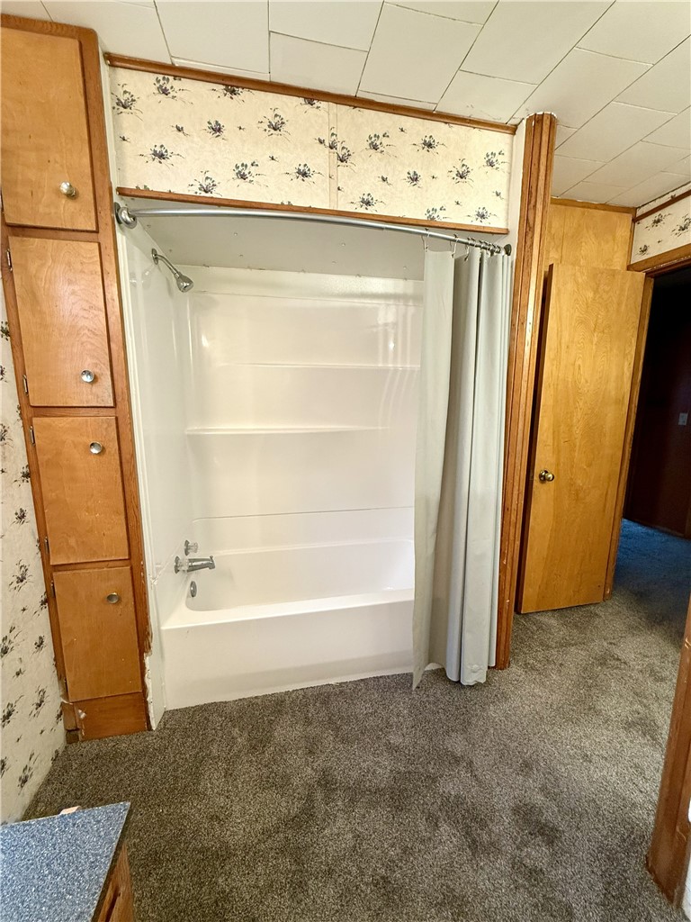204 Boyer Avenue Property Photo 21