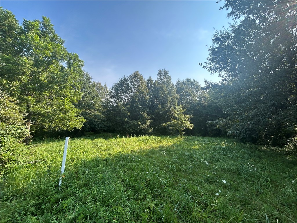 Mt Auburn Blacktop #2 Road Property Photo 6