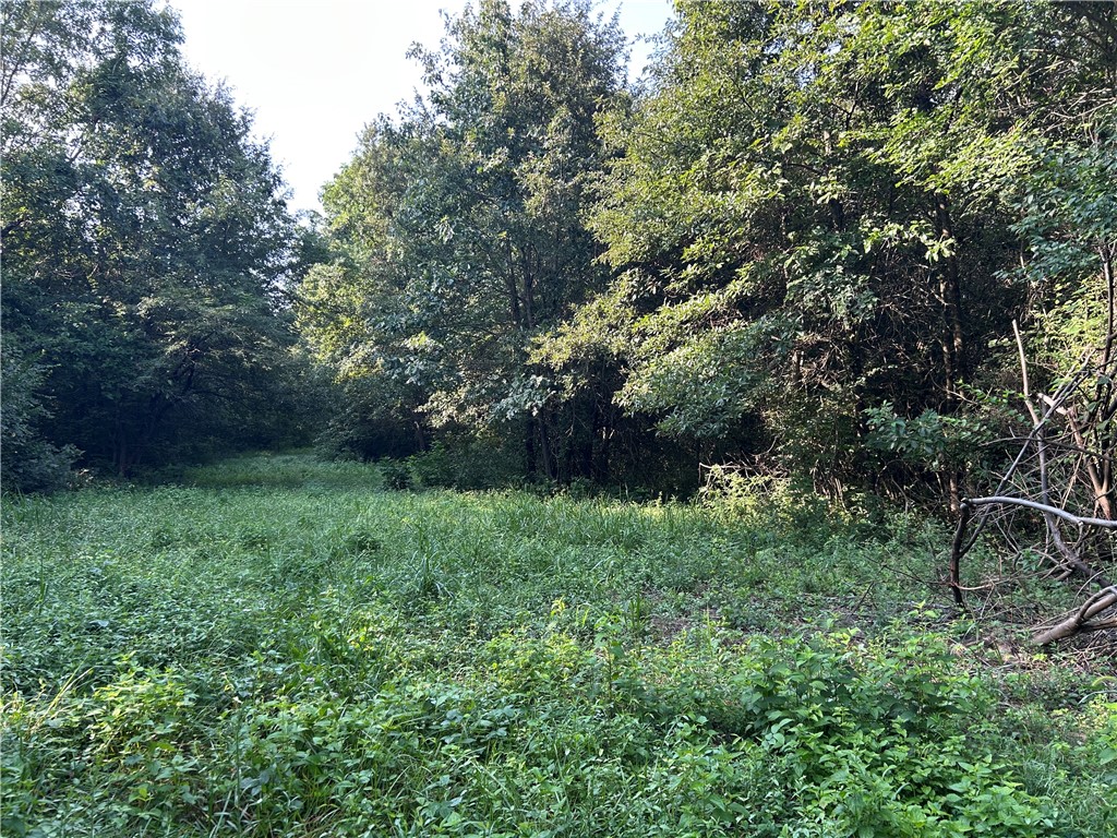 Mt Auburn Blacktop #2 Road Property Photo 8