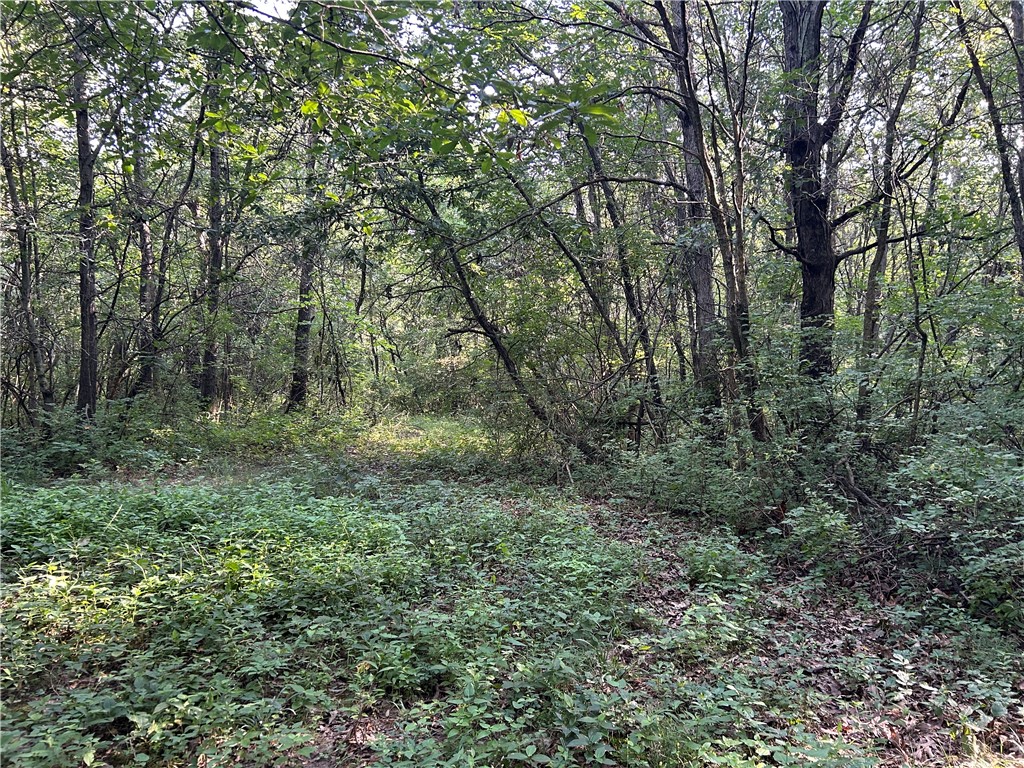 Mt Auburn Blacktop #2 Road Property Photo 9