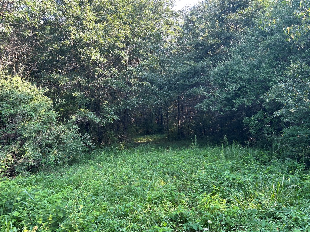 Mt Auburn Blacktop #2 Road Property Photo 10