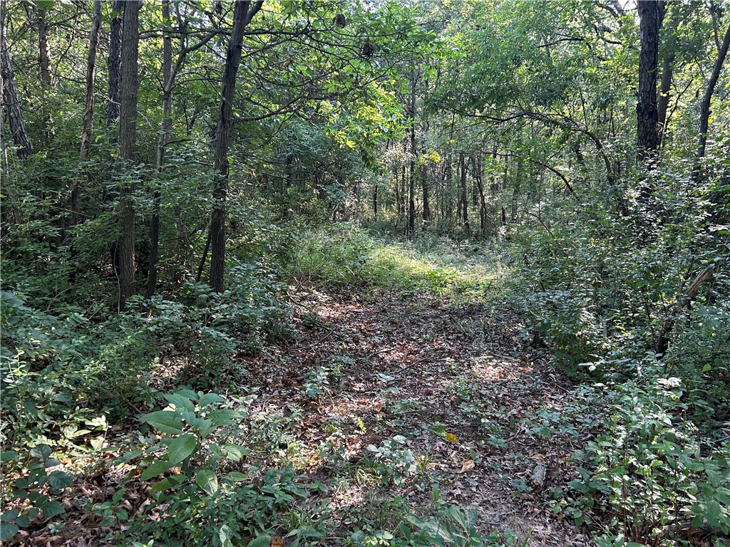 Mt Auburn Blacktop #2 Road Property Photo 11