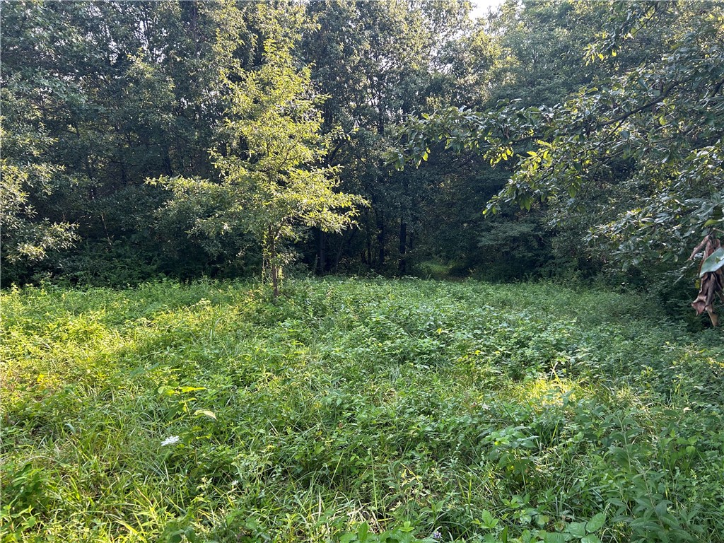 Mt Auburn Blacktop #2 Road Property Photo 13