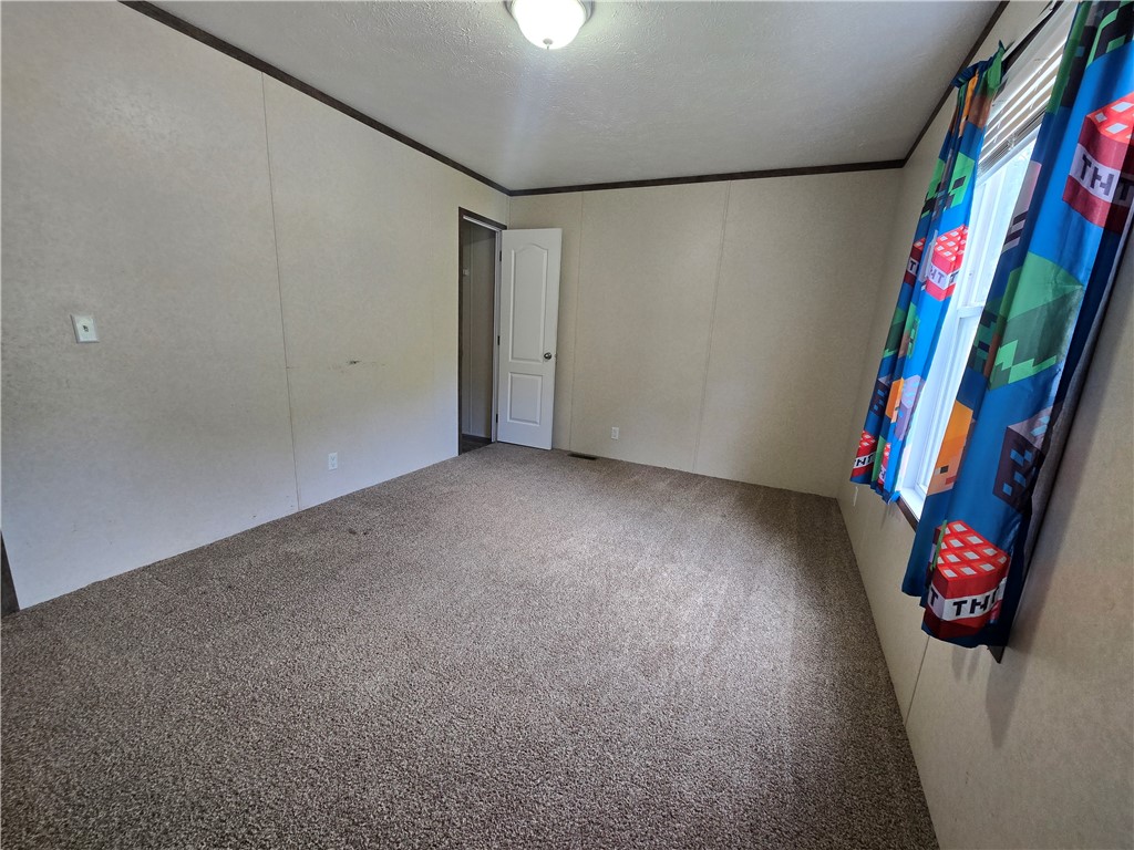 11 Pattie Drive Property Photo 16