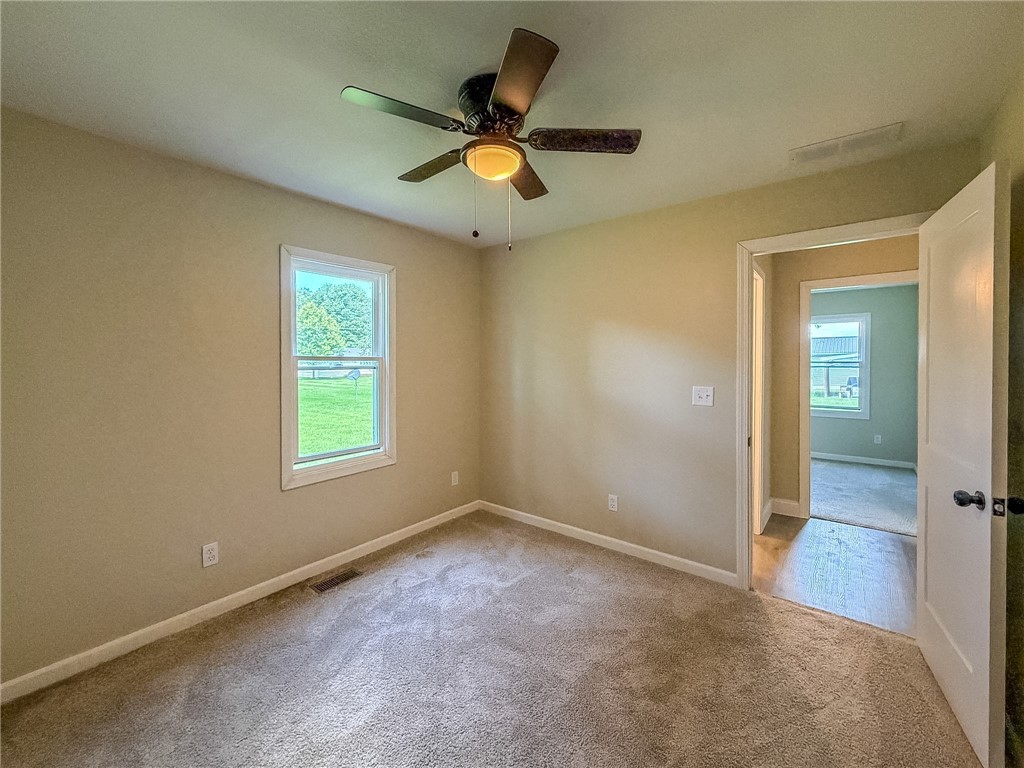 118 Bower Street Property Photo 34