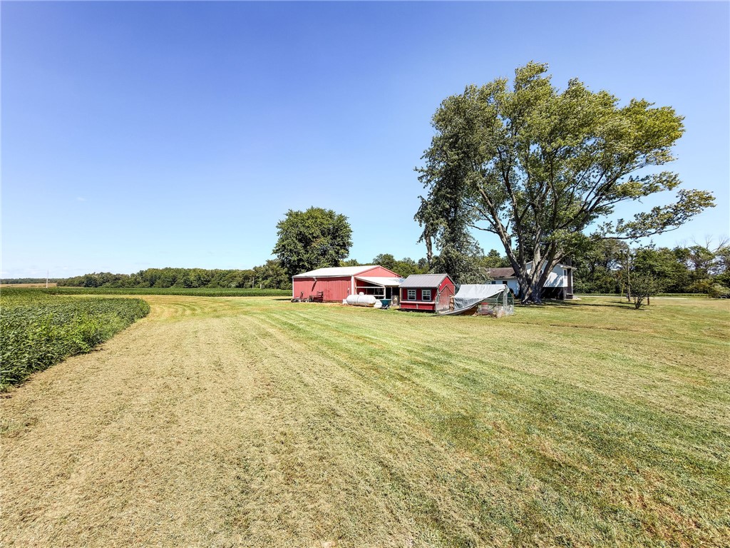 8299 Christy Road Property Photo 46