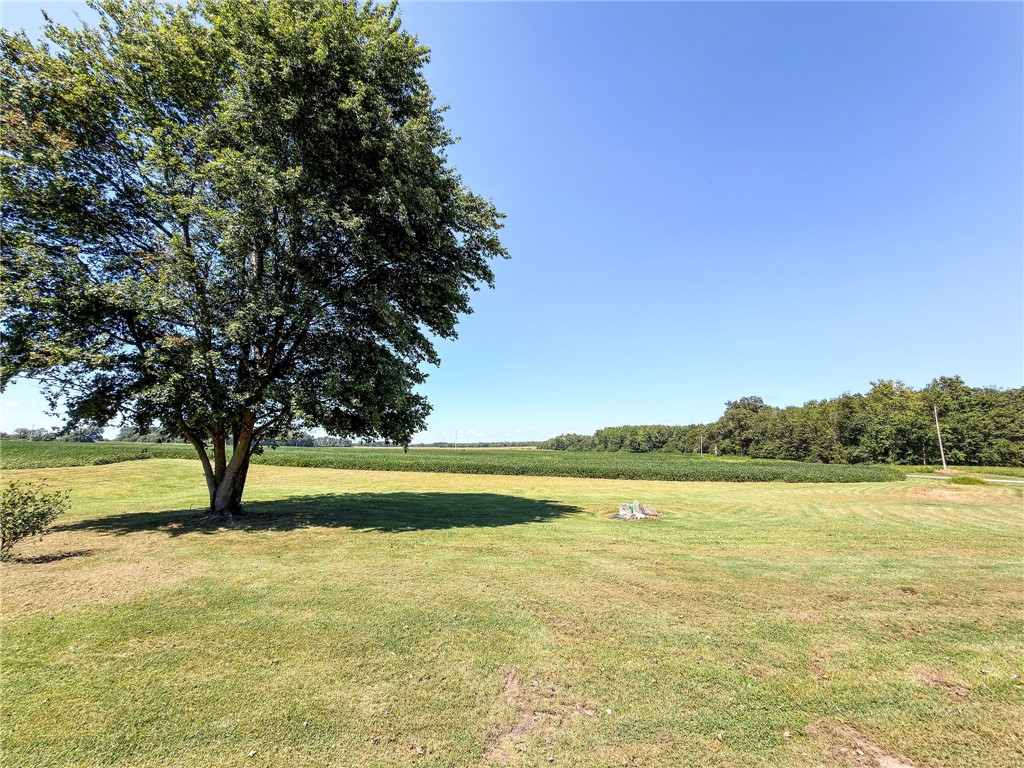 8299 Christy Road Property Photo 47