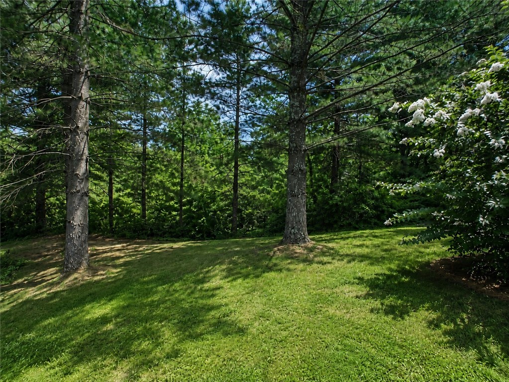 20576 1000th Street Property Photo 29