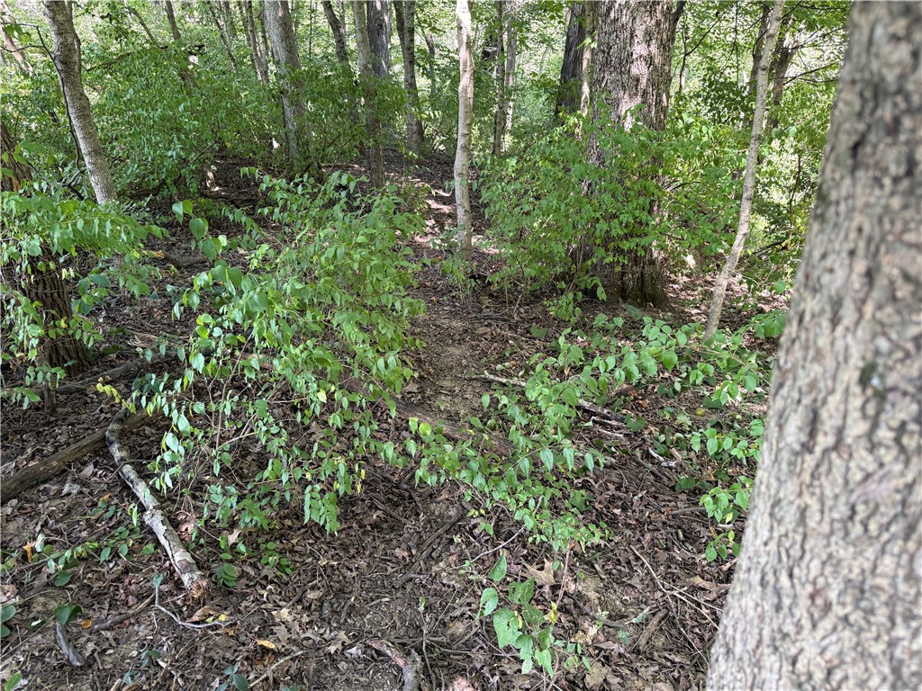 Union Drive Property Photo 11