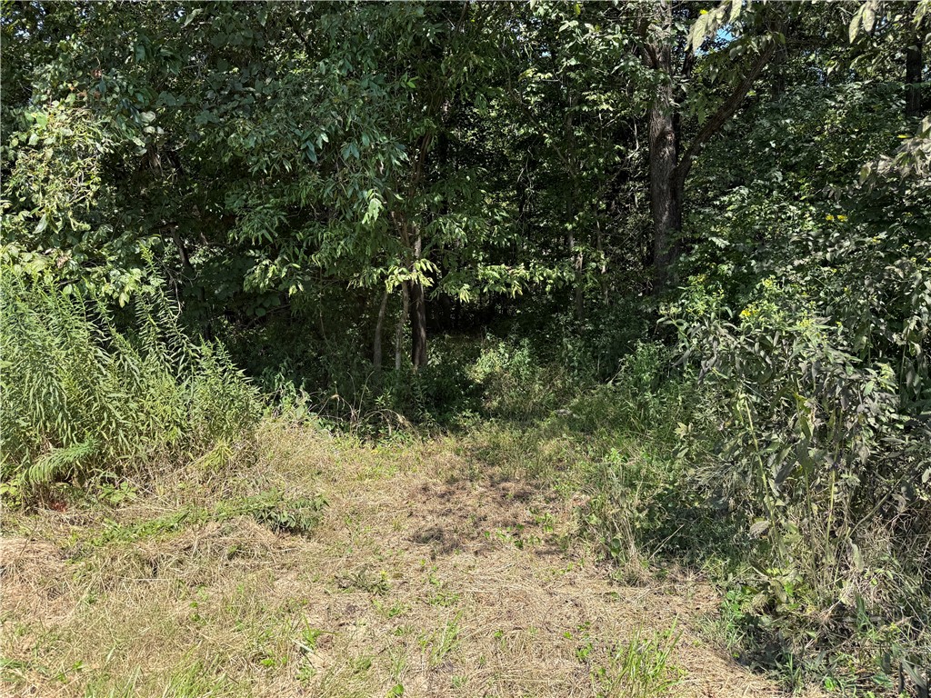 Union Drive Property Photo 20