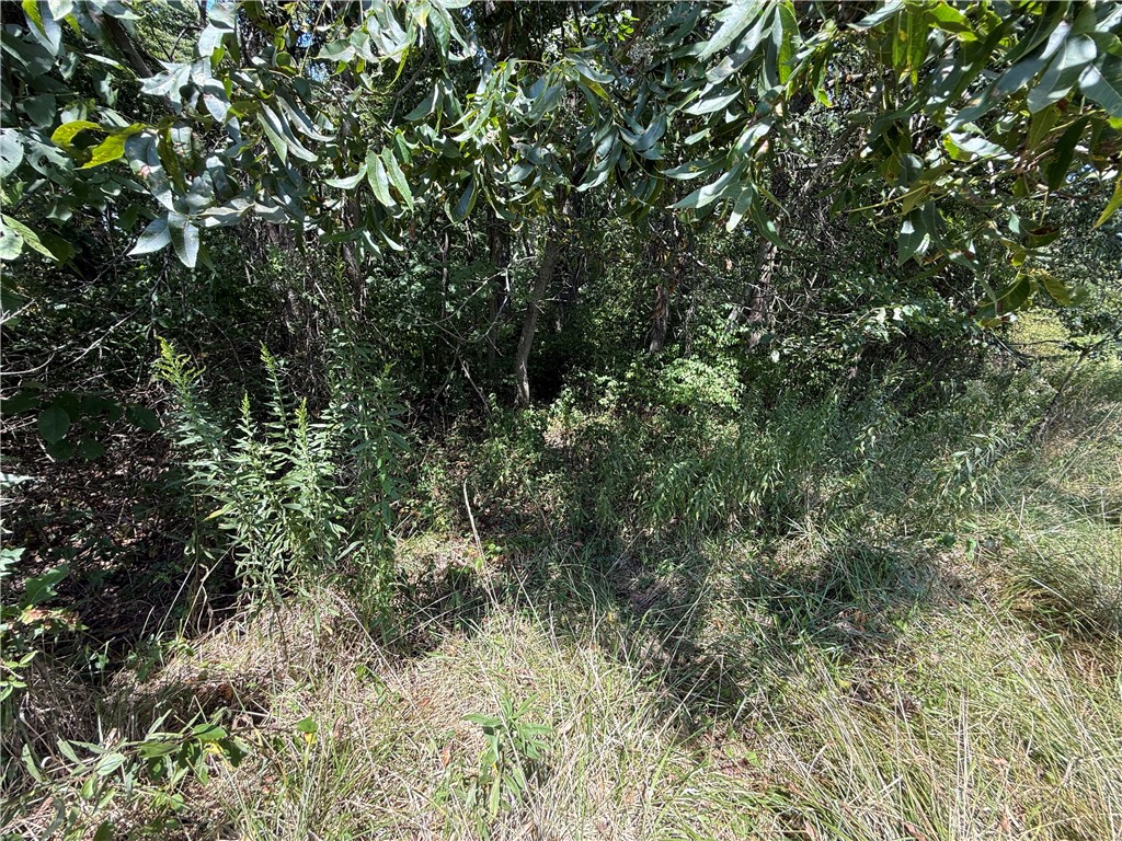 Union Drive Property Photo 22