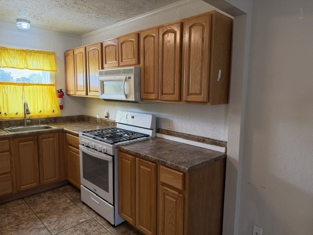 137 Shaw Street Property Photo 3