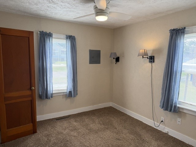 137 Shaw Street Property Photo 6