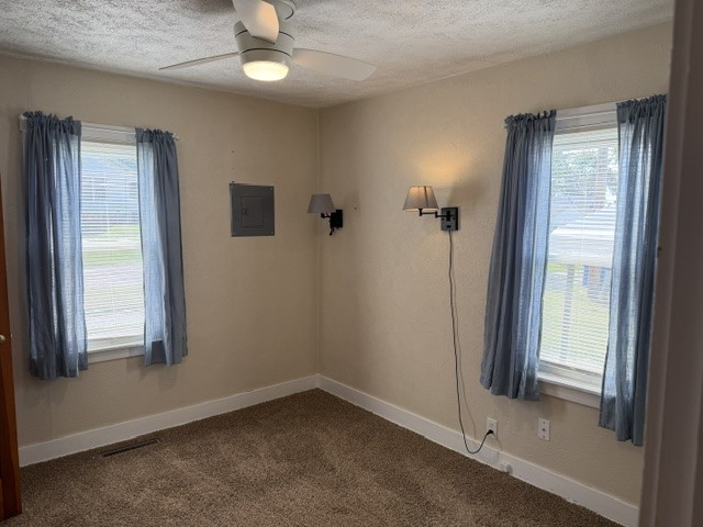 137 Shaw Street Property Photo 7