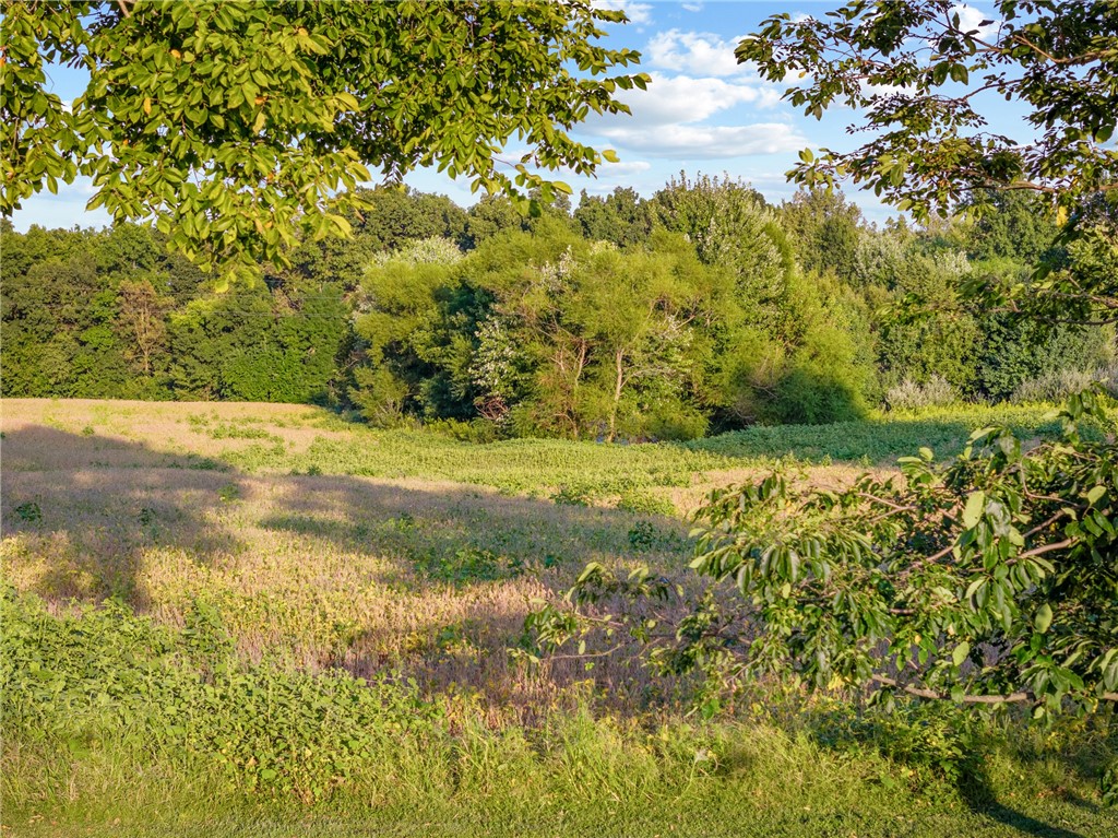 10898 N Hickory Lane Property Photo 13