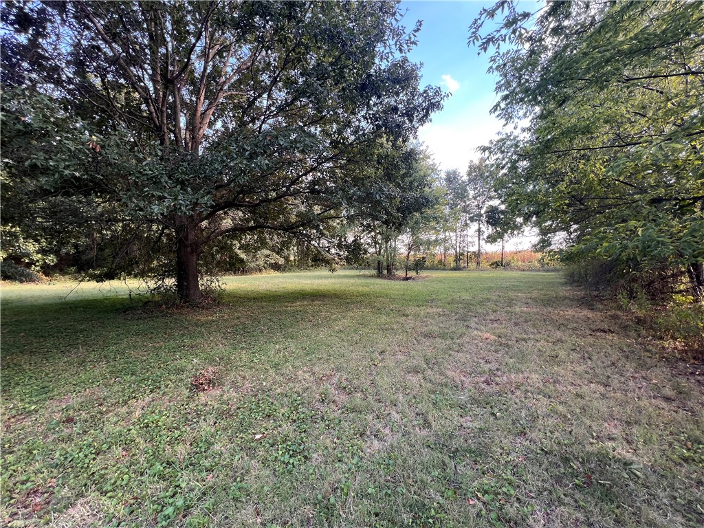 4803 Walnut Hill Road Property Photo 15