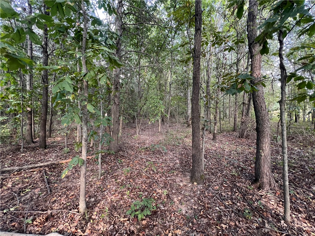 4803 Walnut Hill Road Property Photo 17