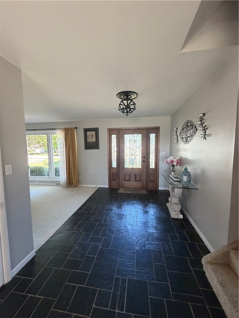 11 Payne Drive Property Photo 12