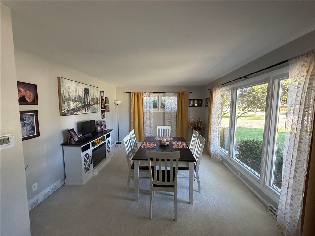 11 Payne Drive Property Photo 13