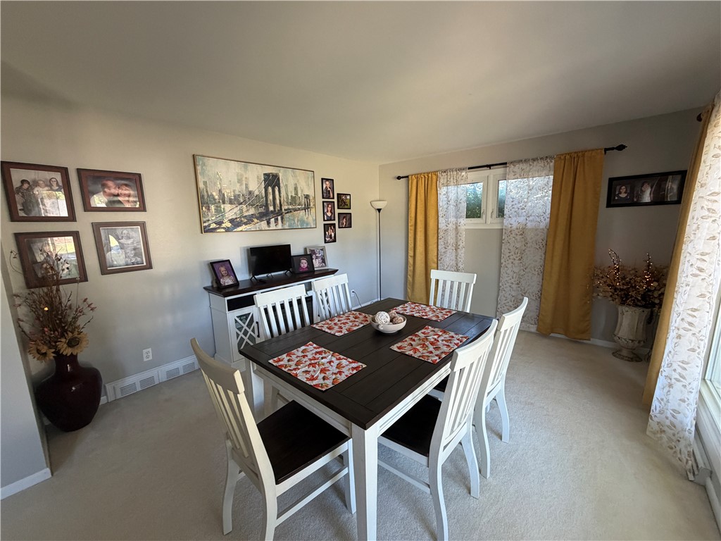 11 Payne Drive Property Photo 14