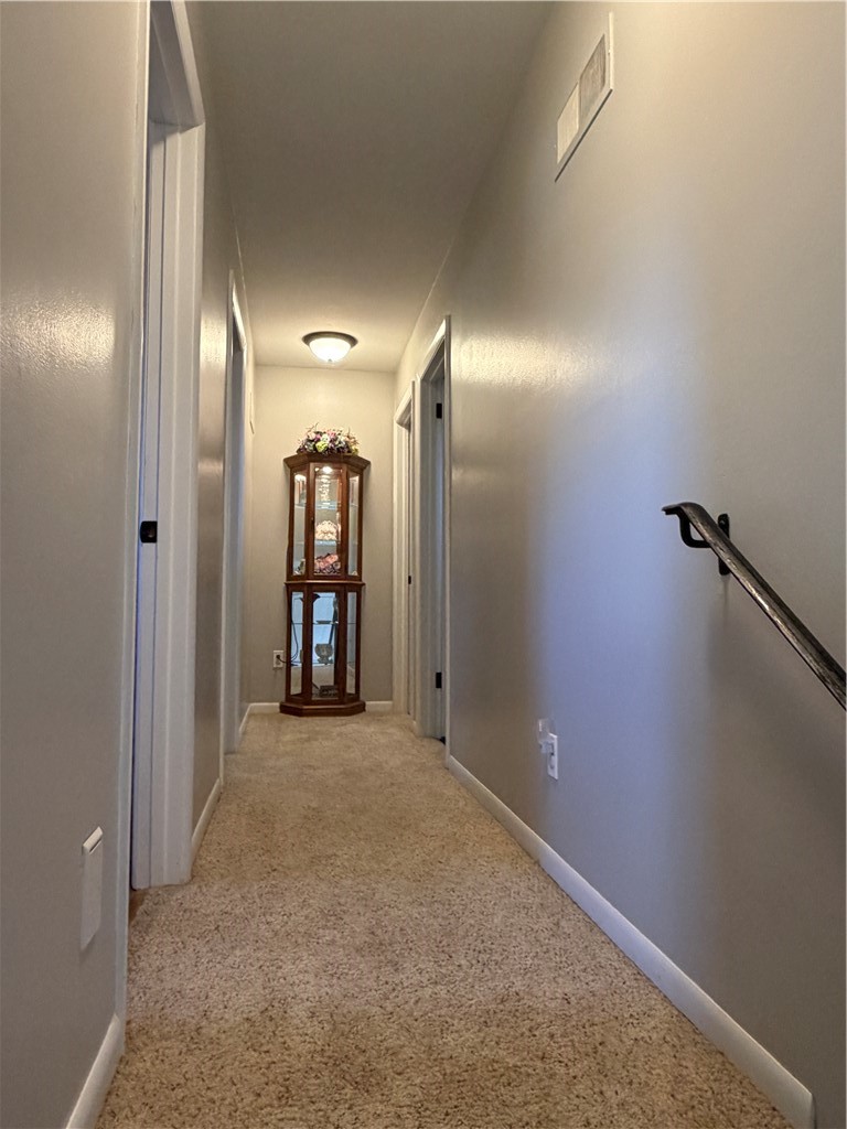 11 Payne Drive Property Photo 24