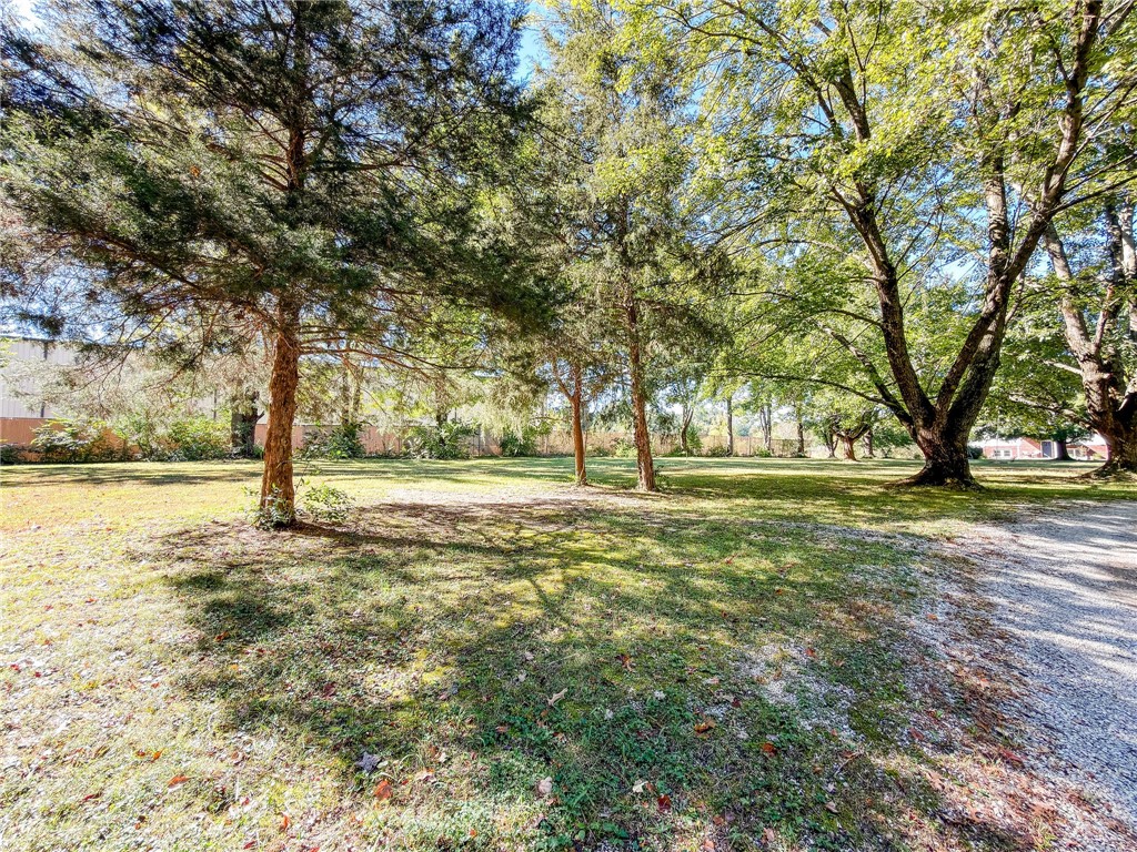 103 Walnut Street Property Photo 51