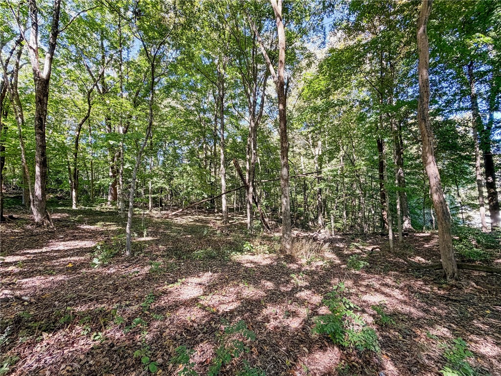 103 E Mountain Street Property Photo 46
