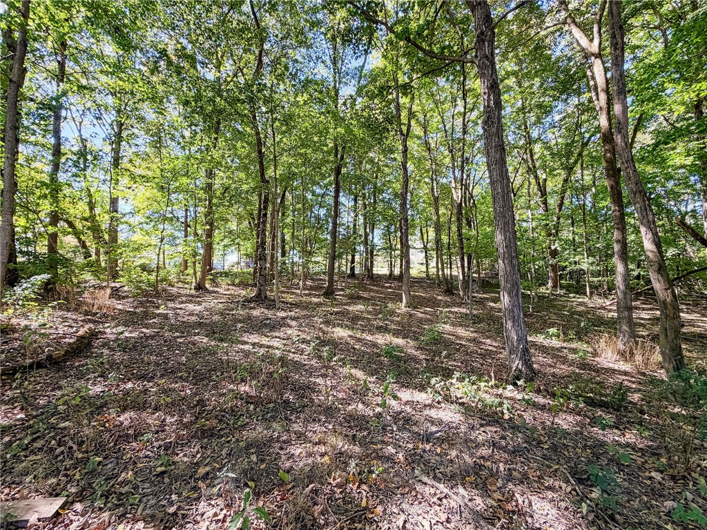 103 E Mountain Street Property Photo 47
