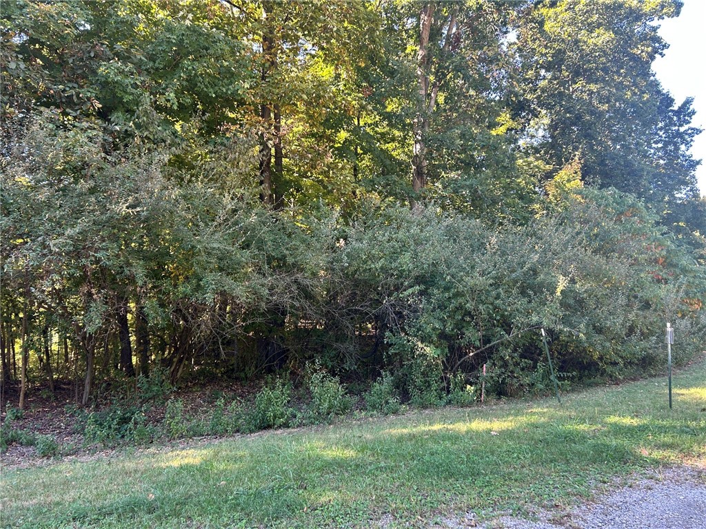 Buxton Woods Drive Property Photo 5