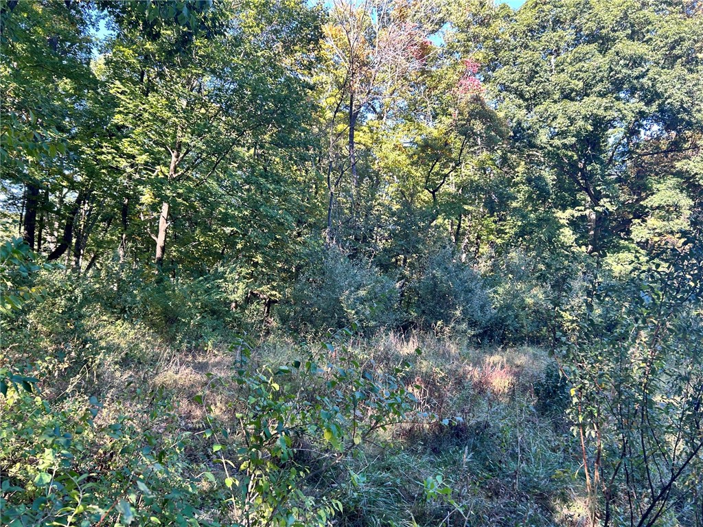 Buxton Woods Drive Property Photo 6