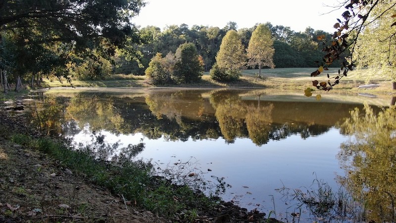 18105 Divider Road Property Photo 19