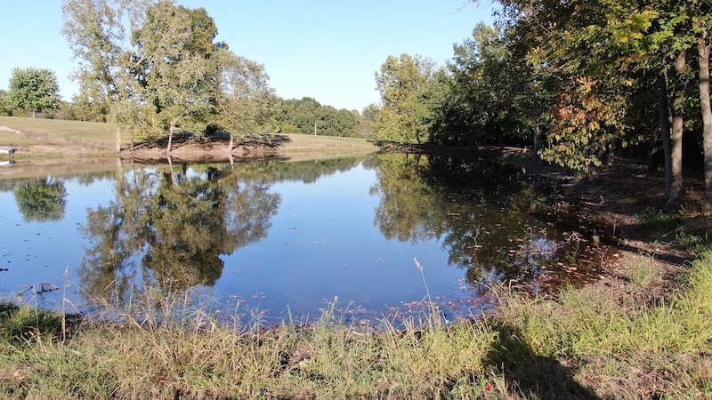 18105 Divider Road Property Photo 21