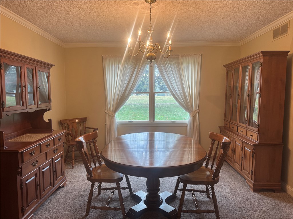 116 Allenwood Drive Property Photo 11