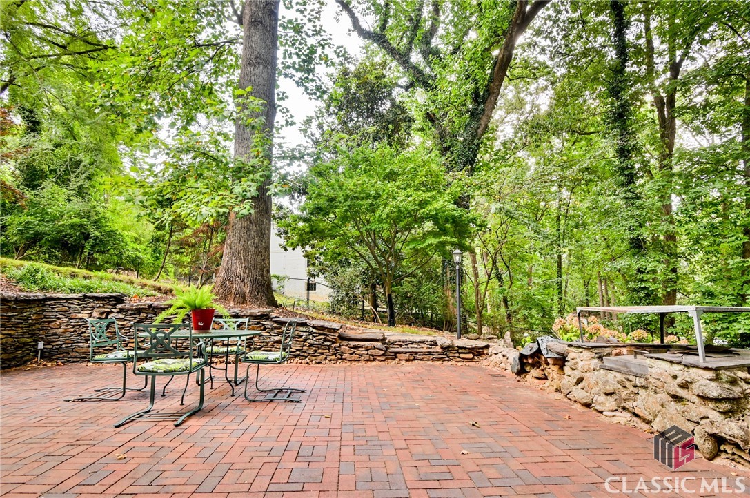 591 Milledge Terrace Property Photo 65
