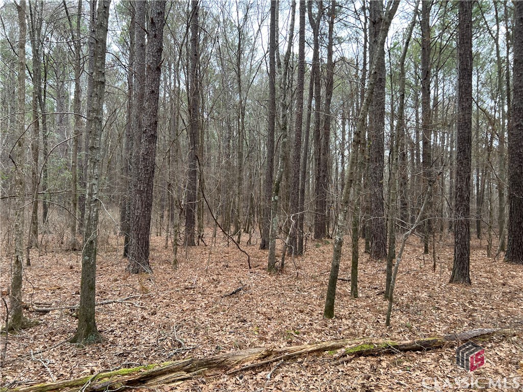 Lot B Salem Road Property Photo 8