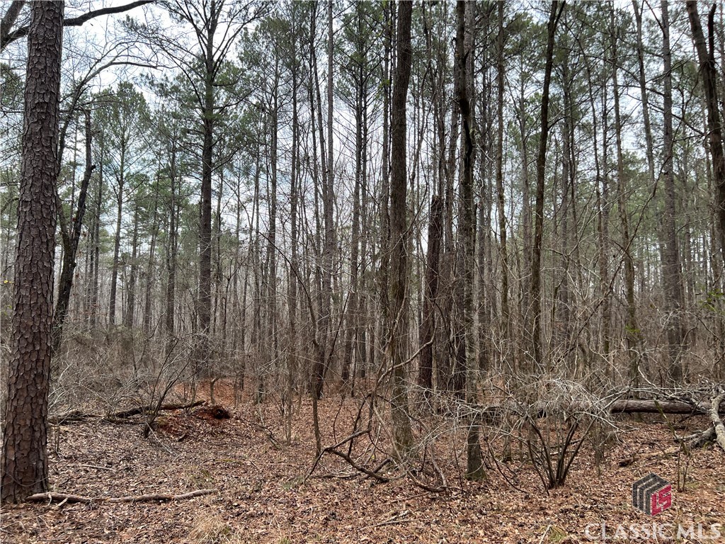 Lot B Salem Road Property Photo 11