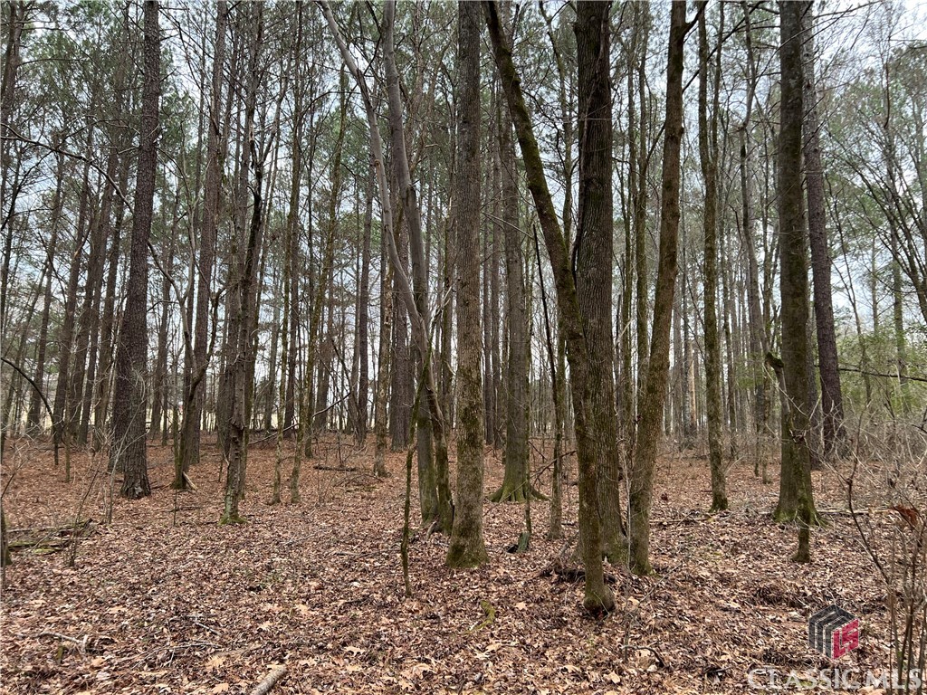 Lot B Salem Road Property Photo 13