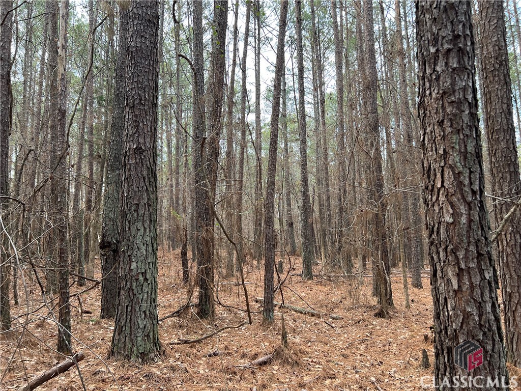Lot B Salem Road Property Photo 16