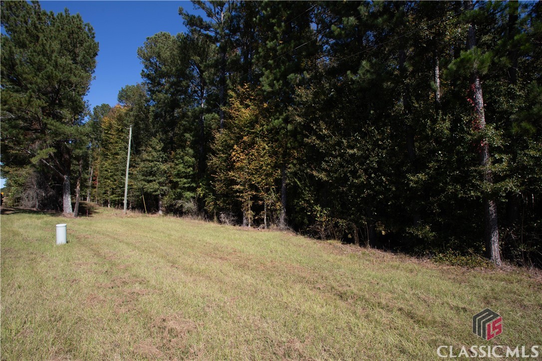 Lot D Salem Road Property Photo 6