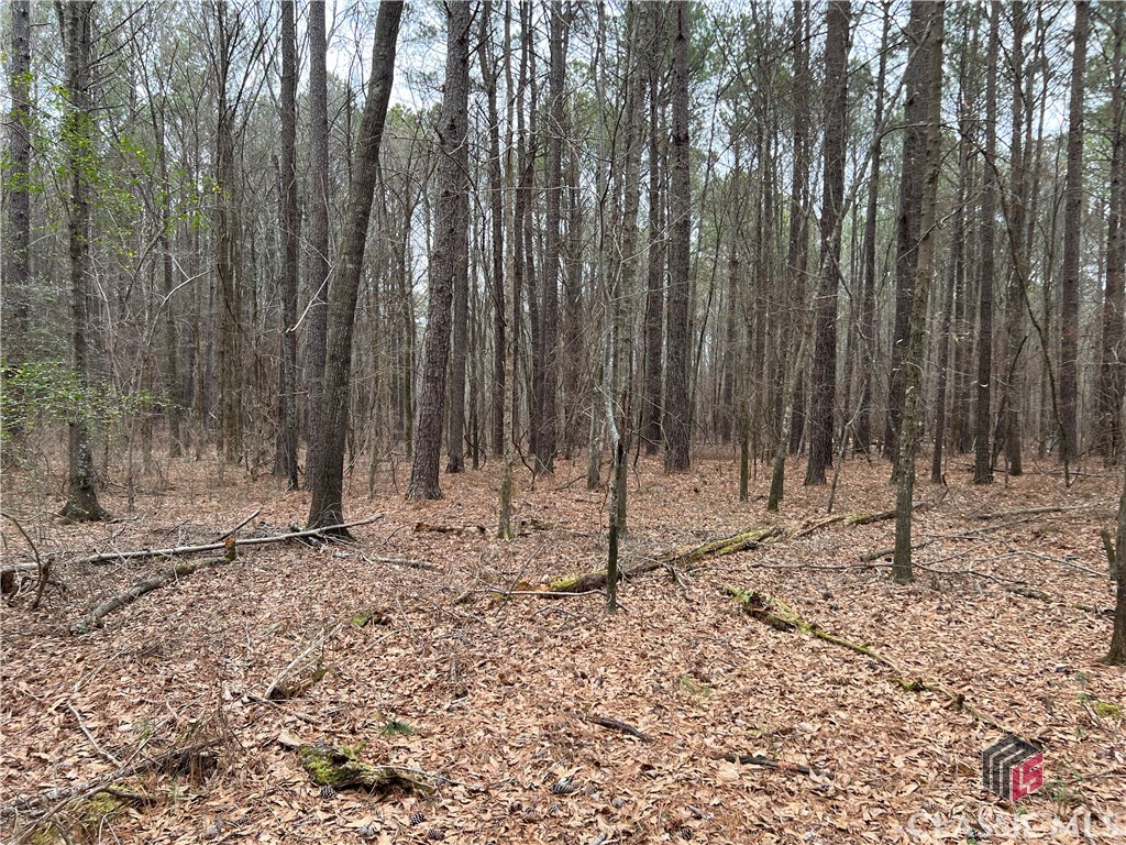Lot D Salem Road Property Photo 8